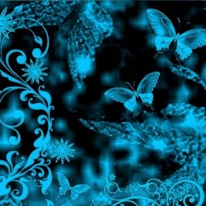 Meet your Posher, Dixie